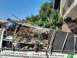 Best Estate Cleanout  in South Browning, MT